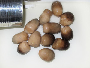 SALTED STRAW <b>MUSHROOM</b> MAKE PIZZA ORIGIN VIETNAM - HIGH QUALITY // for EXPORTING - Product Image 5