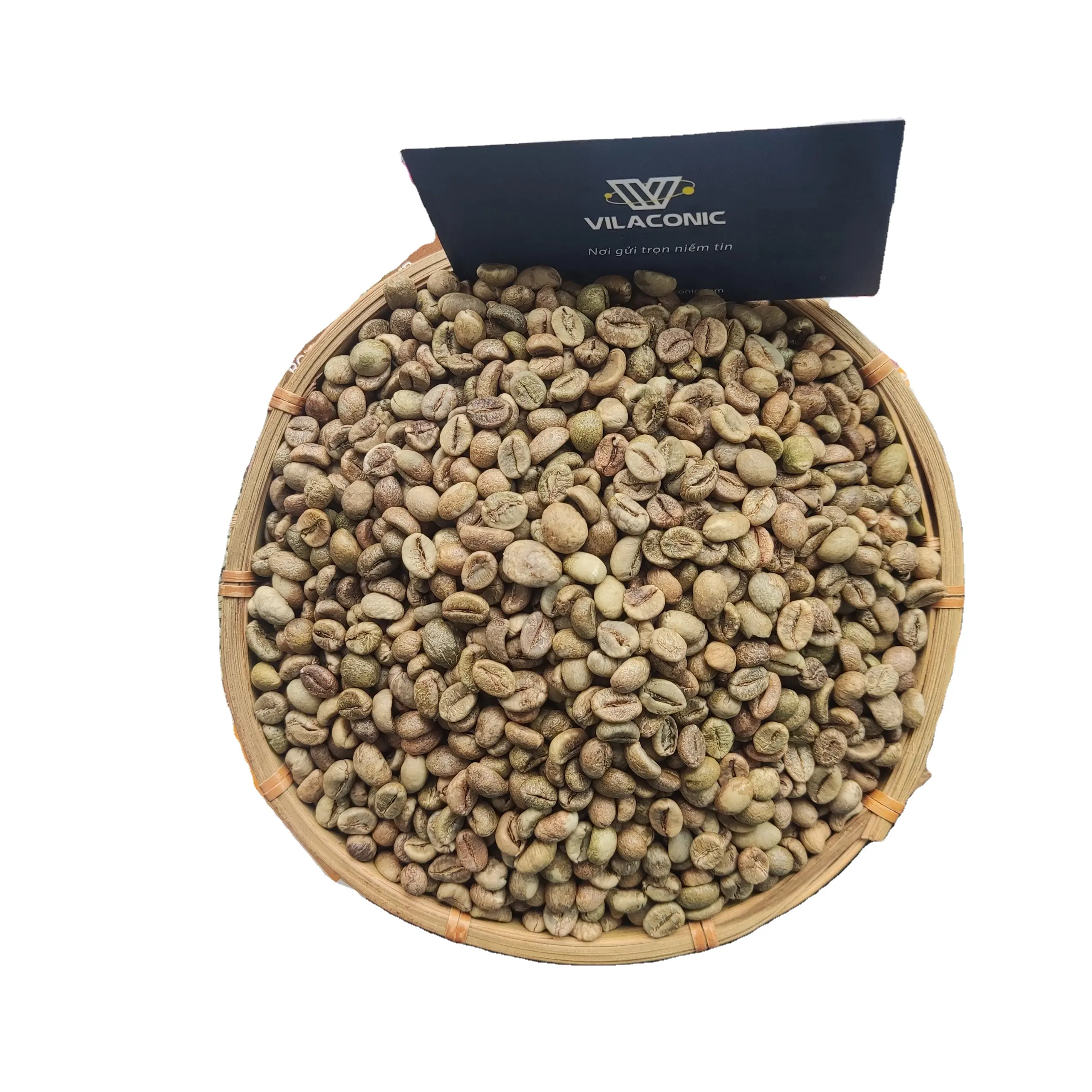 VIETNAM NOUVELLE CULTURE 2024 ROBUSTA COFFEE BEAN 18 HUMIDE POLI DE VILACONIC (Whatsapp:+ 84398885178)