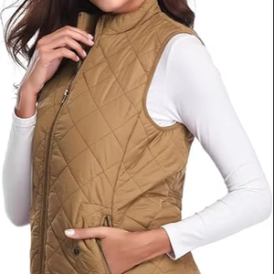 Venta Directa de Fábrica, Chaleco Acolchado de Invierno para Hombre, Informal, de Alta Calidad, Transpirable, Personalizado, con Cremallera, 220g, 100% - Product Image 1