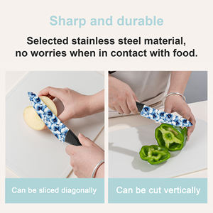 Juego de 6 Cuchillos de Cocina de Cerámica 2026 Más Vendidos para Uso Doméstico, Mango de Plástico, en Existencia, Envío Gratis - Product Image 6