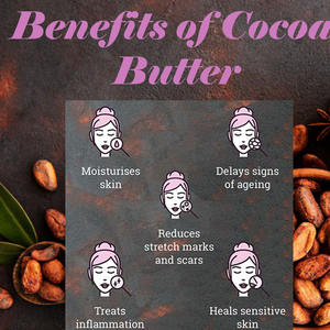 Beurre de cacao brut non raffiné A.G. Organica en vrac pour cosmétiques, lotions et savons, beurre de cacao Theobroma pressé à froid - Product Image 3