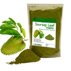 Polvo de extracto de Hojas de Guanábana de Graviola natural al por mayor de Vietnam - Product Image 6