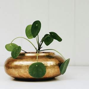 Maceta Moderna Galvanizada para Plantas de Interior con Acabado Metálico Liso y Material de Calidad Duradero - Product Image 2