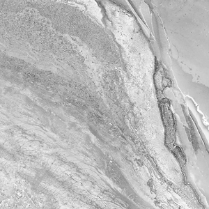 Carreau de salle de bain blanc 600x1200mm grande taille brillant intérieur sol vitré mur céramique Design moderne fonction antibactérienne prix bas - Product Image 5