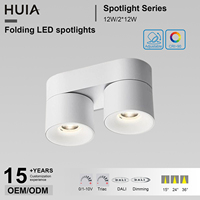 Spot LED Moderne 2*12W à Double Tête, Montage en Saillie, Orientable, pour Hôtels, Magasins et Éclairage Intérieur