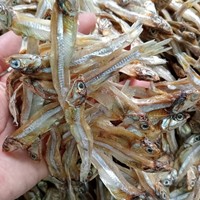 Vente en gros de mini anchois séchés, petits poissons sprat séchés, anchois de qualité supérieure à séchage au soleil de l'usine du Vietnam