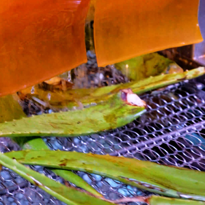 Boisson à l'aloe vera de 500 ml au goût de fraise VINUT, usine du Vietnam, échantillon gratuit, marque privée, boisson - Product Image 6
