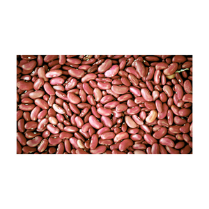 Haricot rouge à bas prix approvisionnement en vrac en gros qualité supérieure - Product Image 3