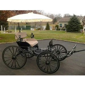 Victoria Petit poney Calèche avec auvent Incroyable petit poney Calèche Victoria Petite calèche Victoria Horse Touring Carriage - Product Image 1