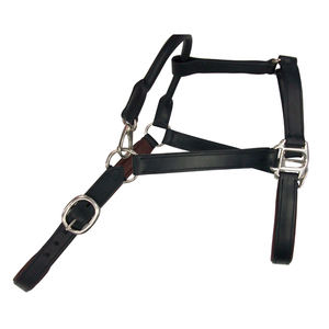 Halter de Entrenamiento Diario Premium, Hecho a Mano, Cómodo, de Cuero para Montura Inglesa, Ajustable, Duradero, Acolchado Suave, Diseño Elegante - Product Image 1