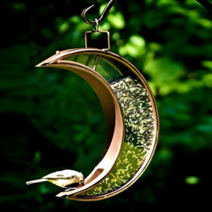 Décoration d'intérieur moderne, durable et unique, magnifique support de pilier en métal et en verre en forme de lune, mangeoire à oiseaux avec design suspendu - Product Image 4