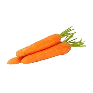 Miglior prezzo all'ingrosso carota congelata di qualità Premium da fornitori vietnamiti