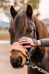 Gants d'équitation personnalisés de haute qualité en cuir, nouveau design, prix de gros bas - Product Image 6