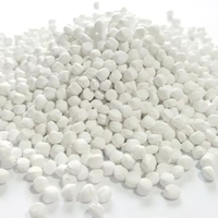 CaCO3 Filler Masterbatch Blanco para PE/LLDPE/LDPE, Gránulos de Baja Densidad para Moldeo por Inyección, Película Soplada, Cables, Bolsas de Plástico, CPI