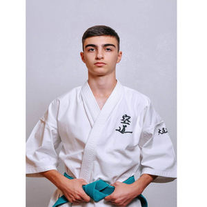 Rofessional 100% ottotton do uto niniform do aidojuku arate artiartial RTS I - Product Image 1