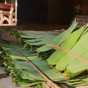 Extrait de bambou/VIET NAM HAUTE QUALITÉ MS.SOPHIE - Product Image 6