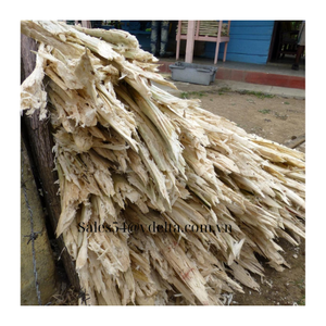 น้ำตาลอ้อย // ชานอ้อยหมักสำหรับอาหารสัตว์ที่มีสารอาหารสูง - Product Image 5