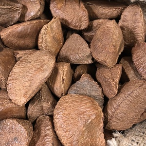 Raw Brazil <b>Nut</b> <b>Kernels</b> Shelled Midget Size Grade 160-180 per Pound Dried Natural <b>Nut</b> for Cooking For Sale - Product Image 3