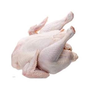 Pollo Entero Halal Congelado, Superventas, Calidad Premium, Alta Calidad, Bajo Precio, Aves Frescas, Carne de Pollo Entera Congelada - Product Image 1