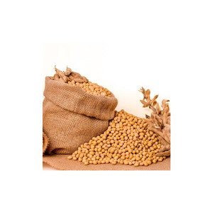 Venta al por mayor de soja orgánica sin OGM GUOWAN - Product Image 3