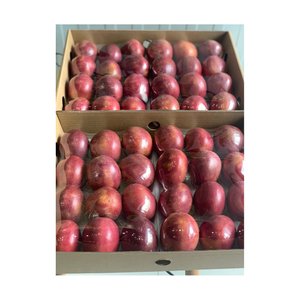 Prix compétitif, fruit de la Passion, nouvelle saison de récolte, culture fraîche, taille personnalisée, jaune, vert, qualité supérieure, meilleur vendeur - Product Image 2