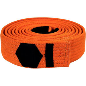 Cinturones de Jiu Jitsu con rayas de colores personalizadas, líneas de costura, logotipos personalizados, cinturones Bjj hechos en Pakistán - Product Image 1