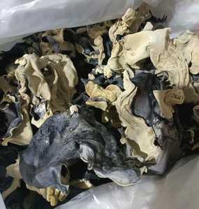 Premium Grade Dried Black Fungus Vietnam Wood Ear Mushroom Factory Direct Supply High Export Standard - Product Image 2