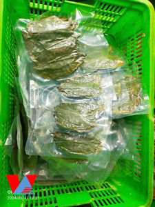 MEJOR PRECIO HOJA DE GUANÁBANA SECADA/ HOJAS DE GRAVIOLA DE VIETNAM / Sra. Lima - Product Image 3