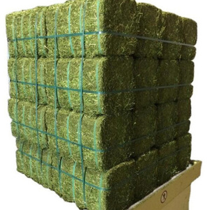 Heno de alfalfa en pacas para alimentación de ganado, heno de timothy de alta calidad, cubos verdes enredados al por mayor para la venta - Product Image 4