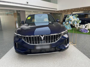 รถยนต์ไฟฟ้า SUV รุ่น Vo-yah ปี 2025 ขับเคลื่อน 4 ล้อ ระยะทางไกลพิเศษ ผลิตในจีน รถยนต์พลังงานไฟฟ้าล้วน รถยนต์พลังงานใหม่ - Product Image 3