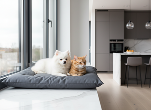 Lit pour animaux de compagnie en tissu Oxford de qualité supérieure « Amistar » 75x55 cm pour chats et petits chiens, OEM/Vente en gros - Product Image 4