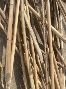 Caña de ratán Natural para la fabricación de muebles y artesanías, postes de mimbre pulido - Product Image 6