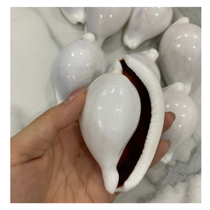 เปลือกหอยไข่ธรรมชาติสำหรับพวงกุญแจ DIY เครื่องประดับแฮนด์เมดตกแต่งงานแต่งงานงานปาร์ตี้และงานหัตถกรรมบ้าน - Product Image 3