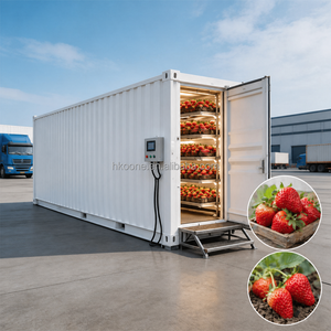 High Yield Vertical Strawberry Growing Container Farm with Advanced LED Grow Lights and Precise Humidity Control Manufacturer - Product Image 6