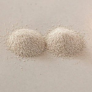 Levures de bière naturelles Poudre de levure enrichie en protéines pour l'alimentation des volailles et du bétail Vente en gros - Product Image 1