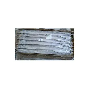 Supplier for frozen fish importers frozen ribbon sardine mackerel fish all kinds of frozen fish