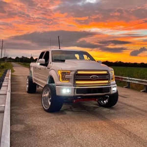 2015-2017 F150จำกัดแถบตะแกรงตามลำดับ - Product Image 1