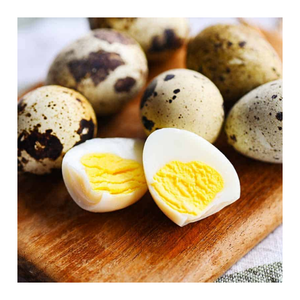 Caille en conserve de qualité supérieure dans un bouillon naturel tendre, savoureux et prêt à manger - Product Image 5