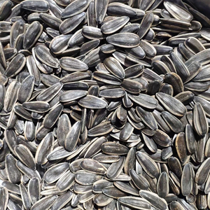 Noyau de <span class=keywords><strong>tournesol</strong></span> brut <span class=keywords><strong>2022</strong></span>, <span class=keywords><strong>prix</strong></span> de gros, bon marché - Product Image 3