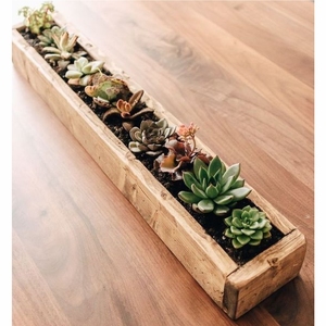 Pot de fleurs en bois de qualité commerciale, long et étroit, pour jardin d'herbes aromatiques d'intérieur, plateau de présentation moderne et minimaliste pour la maison - Product Image 4