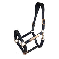 Ensemble d'équipement anglais de qualité supérieure pour endurance, comprenant la bretelle, la bride, les rênes, la peitorale, en similicuir mat, avec corde pour cheval, personnalisable et sur mesure