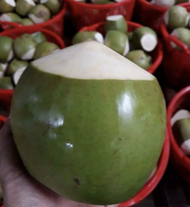 Coco Fresco Joven de Vietnam Hecho con Agua de Coco Natural y Carne Suave para Bebidas, Postres y Uso Culinario - Product Image 2