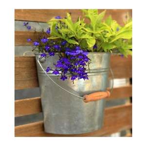 Les planteurs en métal avec un fini antirouille de haute qualité ont conçu pour résister aux éléments et pour sembler grand pendant toute l'année - Product Image 5