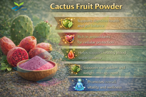 HGO Fournisseur direct d'usine de poudre de fruit de cactus naturel pur, spécification de qualité alimentaire, poudre de fruit, poudre de fruit ou de légume - Product Image 5