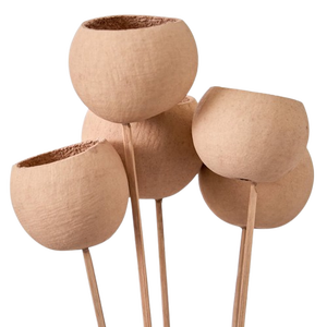 Bell Cup Naturel Séché sur Bâtons Article Décoratif de Noël pour la Maison avec Différentes Tailles et Couleurs - Product Image 2