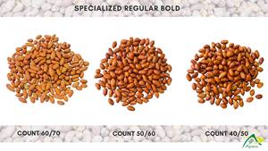 Arachides Bold Peanuts Bold 40 50, Fournisseur d'Arachides Bold Peanuts, Vente en Gros d'Arachides Bold Peanuts, Exportateur d'Arachides Bold Peanuts, Fabricant d'Arachides Bold Peanuts - Product Image 2