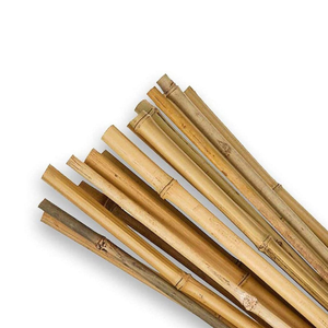 high quality raw bamboo wood pole/natural bamboo poles holiday