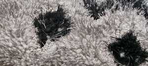 Alfombra peluda barata de color violeta, alfombra esponjosa de la mejor calidad, fabricante turco de Gaziantep, Tapis de poliéster, alfombra tappeto - Product Image 6