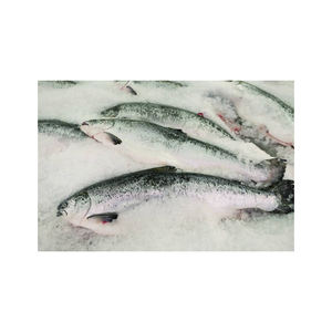 Mejor calidad, precio de venta caliente, salmón entero congelado, pescado (mariscos), calidad de exportación - Product Image 4