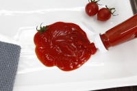 340g Squeeze Bottle Tomato Ketchup Sauce Factory Direct Halal Seasoning Table Condiment for Wholesale